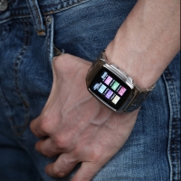 TW810 1,6 дюйма сотовый телефон Watch (JAVA, MP3, MP4, Bluetooth)