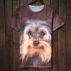 Trend Животные печати серии шорты LangTuo Мужская (Цвет экрана) (53) #01279791